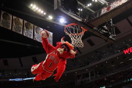 Seit 1969 supportet 'Benny the Bull' die Chicago Bulls in der NBA. Trotz seines fortgeschrittenen Alters ist der rote Bulle ...