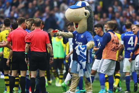 Der Knappe Erwin vom Fußball-Zweitligisten FC Schalke 04 ist wahrscheinlich das einzig bekanntere Maskottchen, das keine Aug...