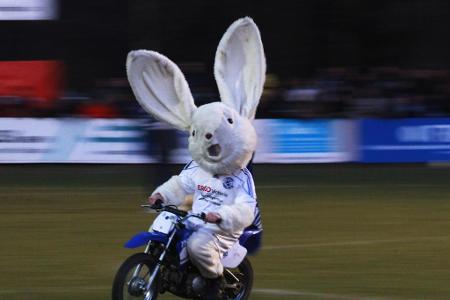 Selbst in unterklassigen Fußball-Ligen findet sich das ein oder andere Maskottchen. Der SV Eintracht Lüneburg lässt einen Ha...