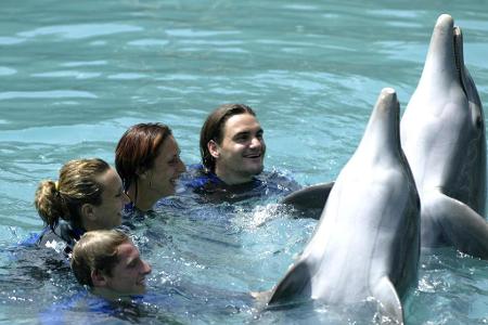 Federer schwimmt endgültig mit den ganz großen Fischen des Business. 2003 holt der Schweizer sieben Einzel-Titel und beendet...
