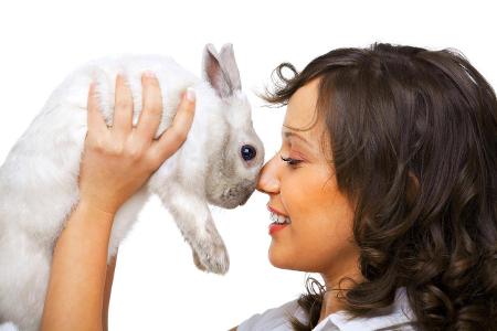 hase.jpg (1)