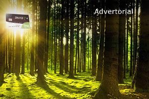 Visa Karte awa7® pflanzt bislang über 1 Million Quadratmeter Wald