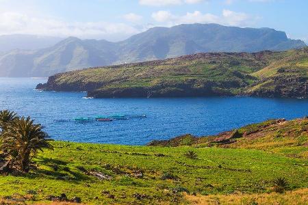 Die portugiesische Insel Madeira hat einiges zu bieten - auch im Winter.