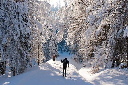 Langlauf gehört zu den anstrengendsten Wintersportarten.