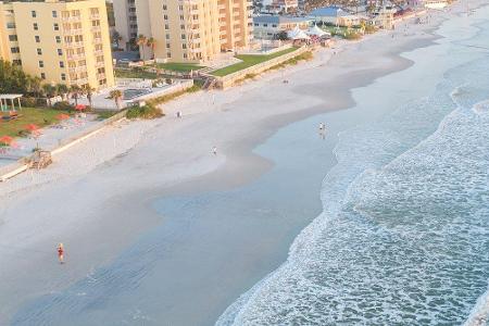 Haie tummeln sich am New Smyrna Beach in Florida. Schon seit einigen Jahren trägt die Stadt den Titel 