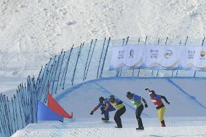 Snowboardcross: Nörl siegt in Krasnojarsk