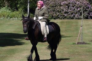 Pause von ihrem Lieblingshobby: Kann die Queen bald wieder reiten?