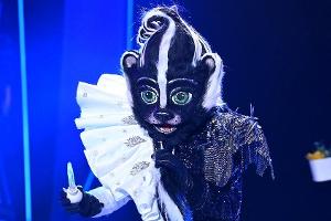 "The Masked Singer": Dieser Sänger steckte im Stinktier-Kostüm