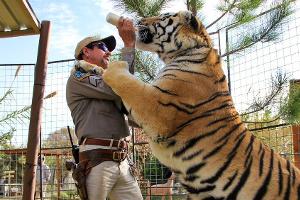 Erster Trailer ist da: So geht es in Staffel 2 von "Tiger King" weiter
