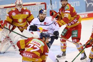 DEL: Münchens Top-Scorer Bourque wechselt nach Ingolstadt - Grizzlys verpflichten DeSousa