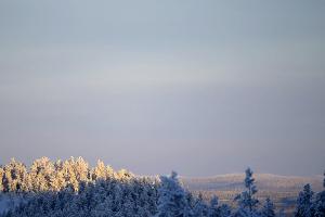Eiseskälte: Skilanglauf-Start in Ruka vorerst verschoben