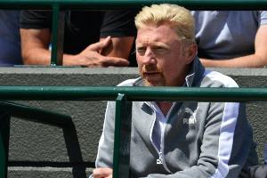 Becker lobt Davis-Cup-Team: "Die Mannschaft ist der Star"