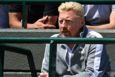 Becker lobt Davis-Cup-Team: 