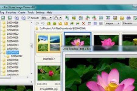 Der FastStone Image Viewer hilft Ihnen ebenfalls bei der Betrachtung und Archivierung von Bildersammlungen, wenngleich echte...