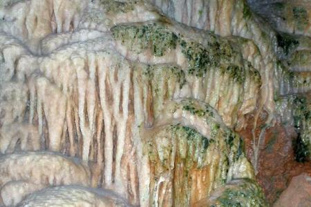Die Iberger Tropfsteinhöhle war vor Millionen Jahren ein Korallenriff. Doch damit nicht genug: In der Höhle wurden die Überr...