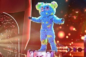 "The Masked Singer": Die finalen Tipps der Fans