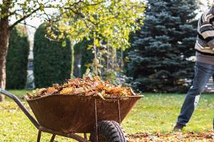 Blumentöpfe, Laub und Co.: Wohin mit den Gartenabfällen?