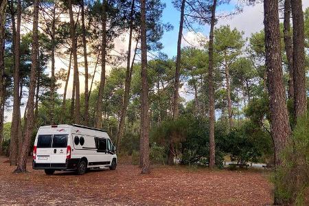 Malibu Van 640 LE RB (2022) Malibu Van 640 LE RB (2022)
