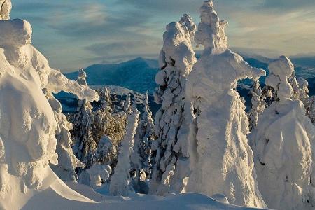 Unmengen an Schnee gibt es im russischen Uralgebirge, das sich über 2.200 Kilometer erstreckt. Ganze Wälder versinken in der...