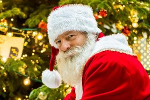 Henning Baum: Seine Weihnachtsbäume fallen bei der Familie durch