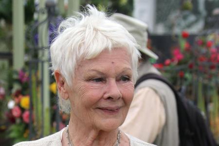 Für Judi Dench (82) ist ihre weiße Kurzhaarfrisur zu einem Markenzeichen geworden. Oder wer kann sich die Schauspielerin etw...