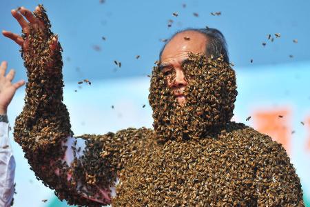 Joko und Klaas: So schreiben sie TV-Geschichte Bienenanzug