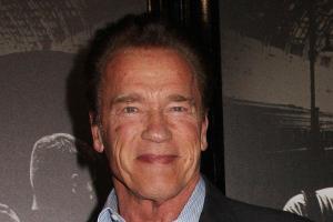 Arnold Schwarzenegger spendet 25 Tiny Houses für Kriegsveteranen
