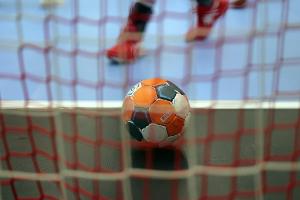 Handball: Füchse patzen erneut - auch Löwen kassieren Niederlage