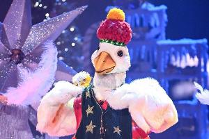 "The Masked Singer": Diese drei Stars trällerten im Weihnachtsspecial