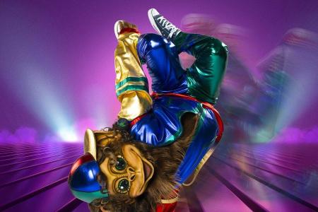 Der Affe hat den Rhythmus im Blut: 