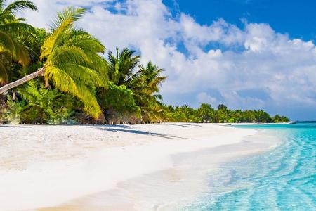 Corona-bedingt sind weite Fernreisen momentan nur beschränkt möglich. Wer sich im trüben Winter etwas in Urlaubsstimmung bri...