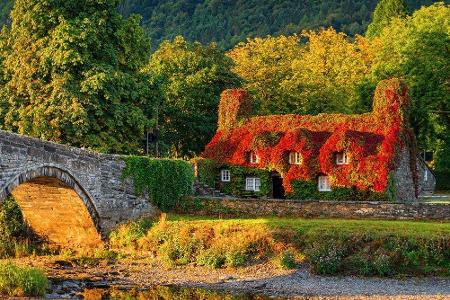 Direkt am Fluss Conwy gelegen, befindet sich die Gemeinde Llanrwst. Der kleine Ort in Wales erstrahlt im Herbst in unterschi...