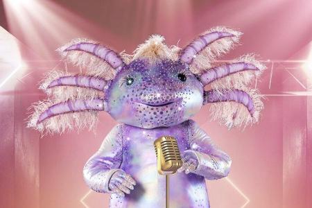 Das Axolotl will als frecher Kindskopf die 