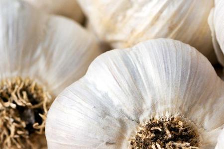 Seit 1858 ist bekannt, dass Knoblauch eine starke antibakterielle Wirkung hat. Er ist voll von antiviralen Sulfiden und träg...