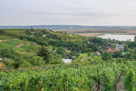 Der Naturpark Südharz lockt mit einem 900 Kilometer langen Wegenetz. Die Landschaft ist sehr abwechslungsreich - von sumpfig...