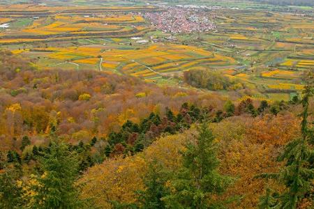 Die Ortschaften Endingen und Ihringen verbindet der rund 22 Kilometer lange Kaiserstuhlpfad, den Wanderer in etwa sechs Stun...