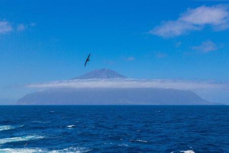 Irgendwo auf halber Strecke zwischen Afrika und Südamerika liegt im Atlantischen Ozean die Insel Tristan da Cunha. Das briti...