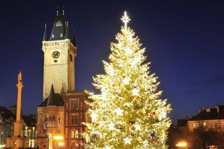 Der Weihnachtsbaum auf dem Altstädter Ring in Prag bringt jede Menge festliche Stimmung. Doch auch in anderen Städten kann s... Der Weihnachtsbaum auf dem Altstädter Ring in Prag bringt jede Menge festliche Stimmung. Doch auch in anderen Städten kann s...