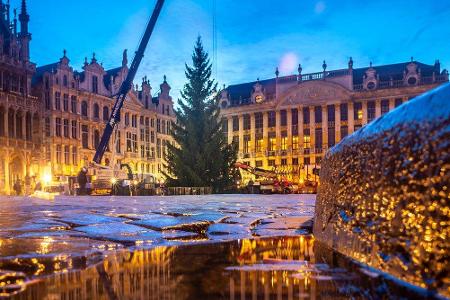 Auch die traditionelle Weihnachtsbeleuchtung an der Grand Place in Brüssel wurde bereits angebracht. Mehrere Meter ragt die ...