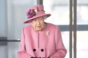 Vogelgrippe! Schwäne von Queen Elizabeth II. müssen getötet werden
