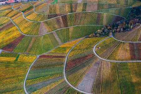 Weinberge im Herbst Stuttgart-Rotenberg Drohnenperspektive