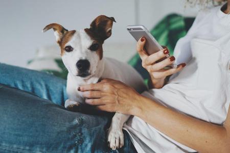 Wer sich den Alltag dadurch erleichtern möchte, dass das Haustier für eine Weile versorgt ist, kann sich Apps wie 