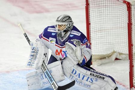 DEL: Mannheim stolpert in Straubing DEL: Mannheim stolpert in Straubing