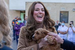 Prinz William und Herzogin Kate treffen Therapiehündchen Alfie