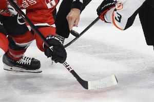 Eishockey: DEL zurück bei ServusTV