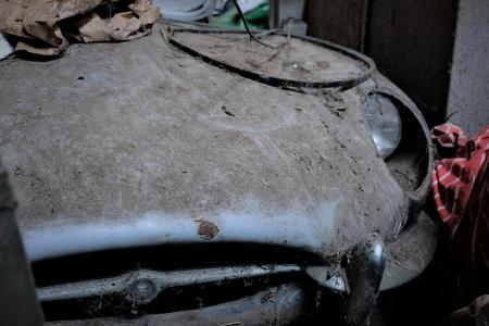 Jaguar E-Type Scheunenfund