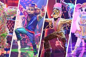 "The Masked Dancer": Das hat das Finale zu bieten