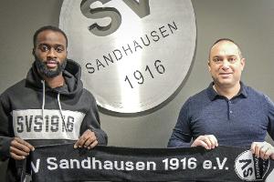 2. Liga: Sandhausen verpflichtet Berko und Trybull