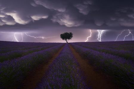 Juan Lopez Ruiz Sony World Photography Awards