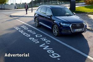 Eine schrecklich nette Familie - Audis Q-Modelle